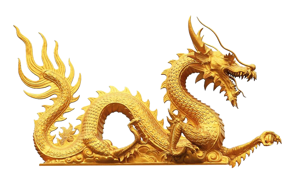 Illustrazione di un drago